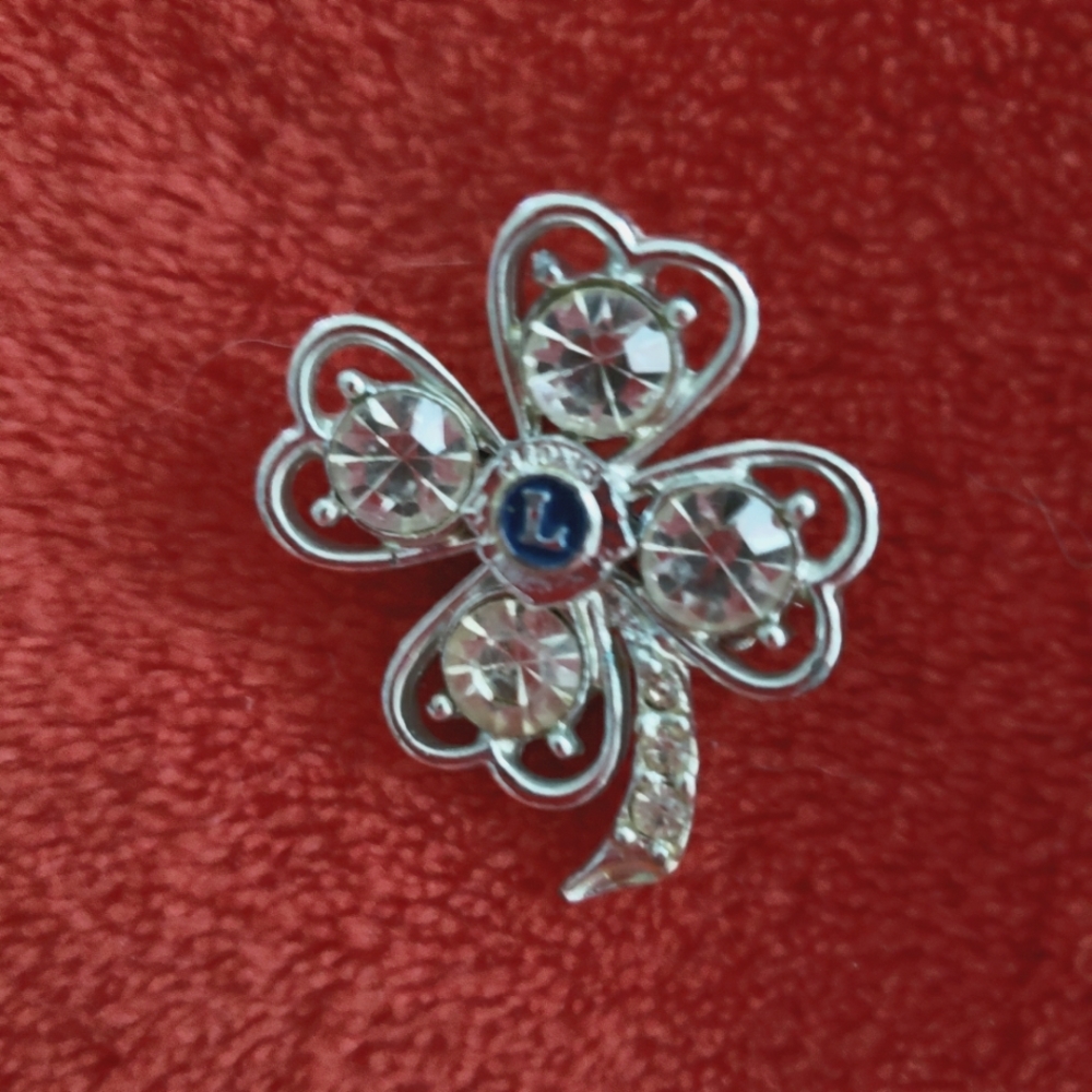 Lions Club Brooch